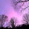 wyatt_sc010