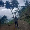 vinoputra_wijaya