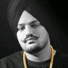 hamadsheikh517