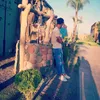 ahmedsawri