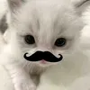.hmy._