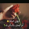 user386069684
