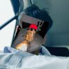 mark_zzxx1