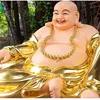 mi.yu.trang1