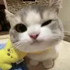 _.qpwjm._