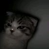 .wnty4