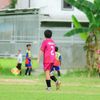 alfn_805