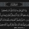 sayed17a