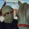 alabeer_14