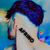 cono_511