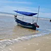 🌊Dương sát cá🌊