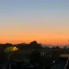 nmrx_15