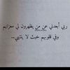 tiger__332