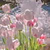 .hoseen.salsm