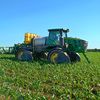 farmboy