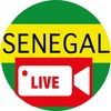 Senegal live