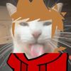 .tordcat