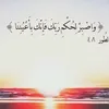 nur.alayman6