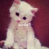 ardaakozann_
