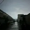 hassansami917