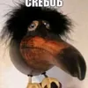 zz.reqer