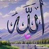 leyla_316972