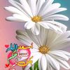 user67961409035413