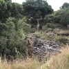 mounia.alaoui6