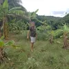 carmindocandidoau8