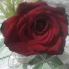 phclc5439