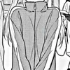yuzuu1234