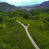 karsakarsa83