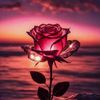 om_ziad14