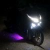 vario.kraken