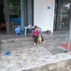 thuy.nguyen3175