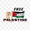 mdalidxb97gmail0