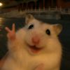 symply_amy