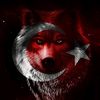 ahmet_kya341