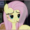 flutterhighho