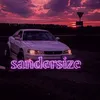 sandersizeee