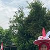 awaa_822