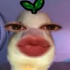 squishymellowsv1
