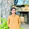 ch_anas.66