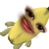 sanshafaraa