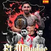 DP MMA