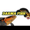 darma0275