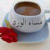 user4870446171476