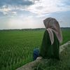 myyslra251
