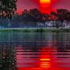 saule_456