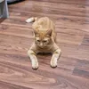 sphinx4342
